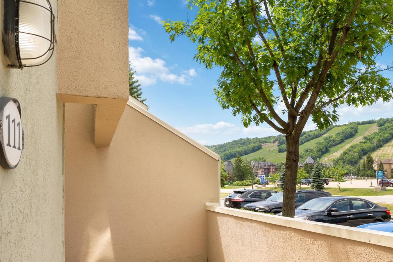 Lovely 3 Bedroom Wintergreen Retreat W Sauna بلو ماونتينز المظهر الخارجي الصورة