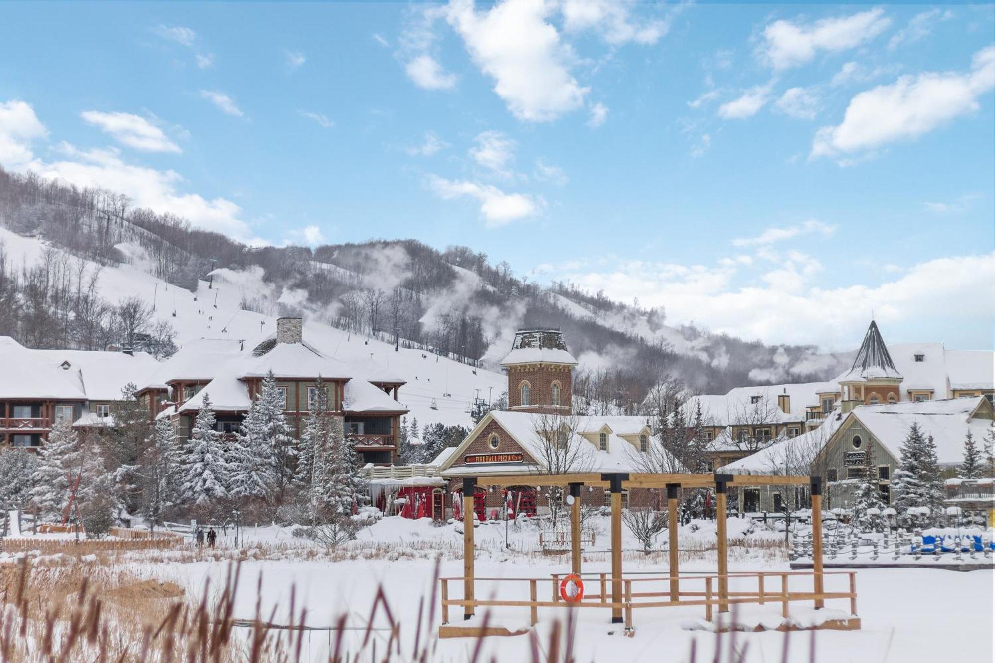 Lovely 3 Bedroom Wintergreen Retreat W Sauna بلو ماونتينز المظهر الخارجي الصورة