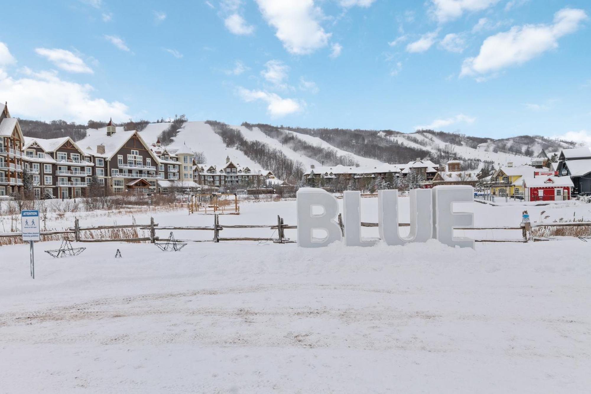 Lovely 3 Bedroom Wintergreen Retreat W Sauna بلو ماونتينز المظهر الخارجي الصورة